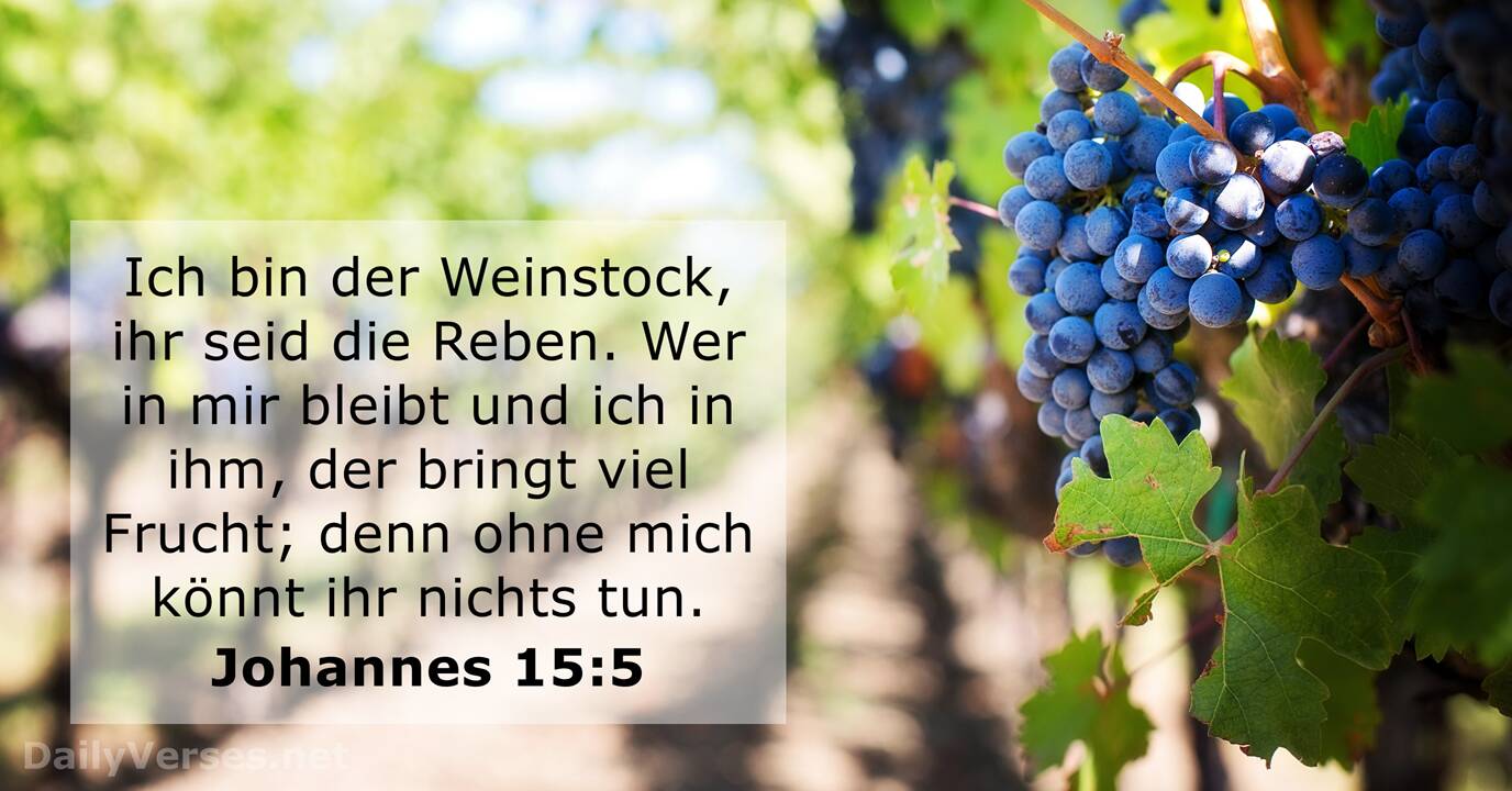 K1024 johannes 15 5