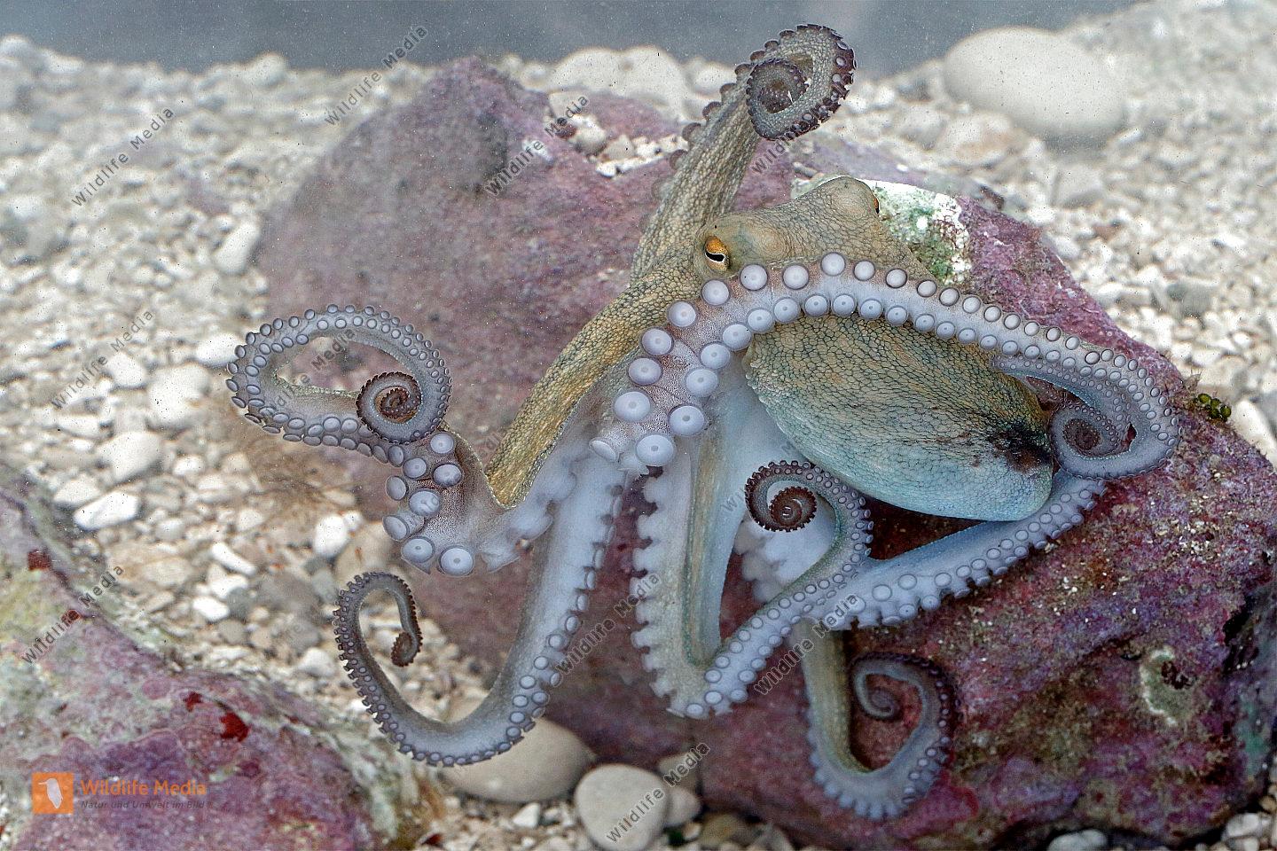 593873388 25575760335369935 4220984581653532245 n